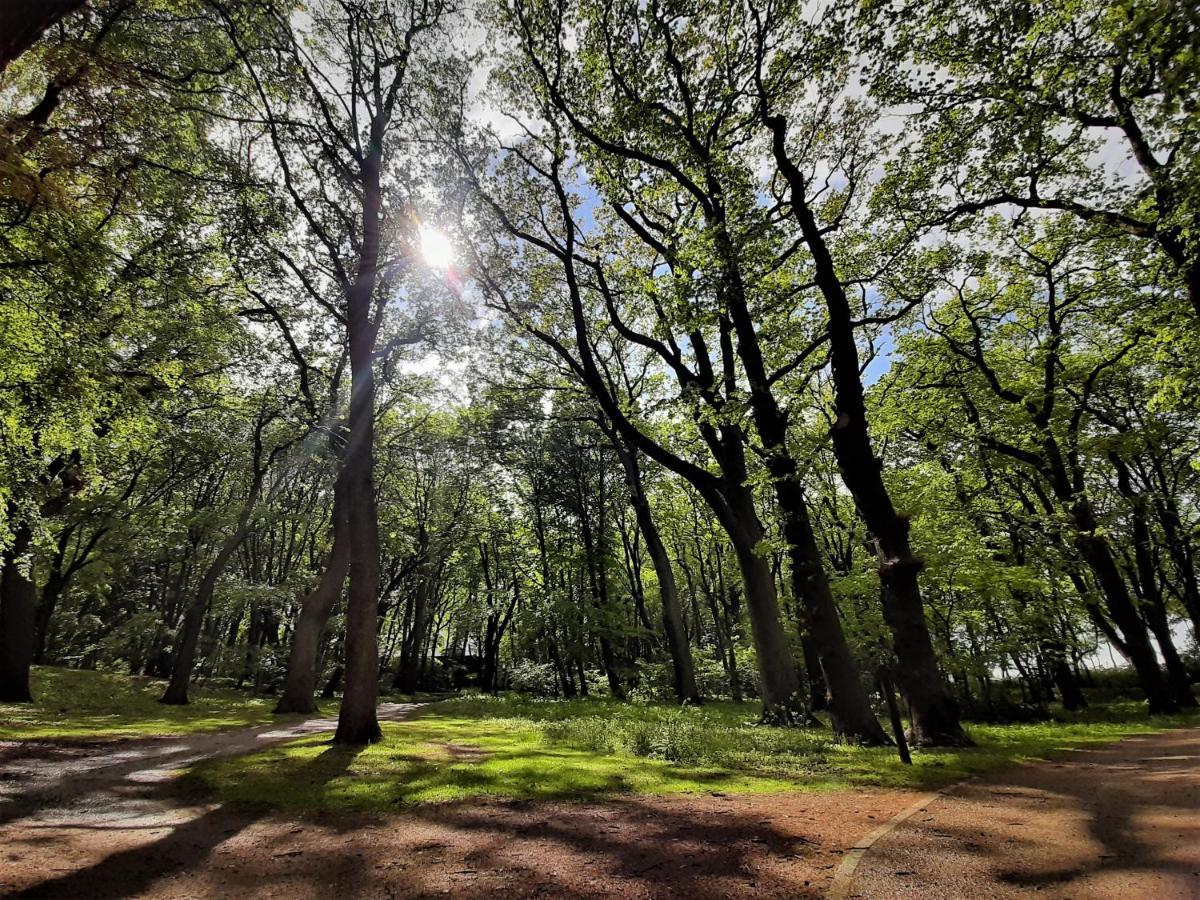 Domki Ajna Park W Uzdrowisku Kolobrzeg Exterior photo
